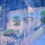 第28回下野新聞紙上写真コンテスト－入賞作品－