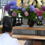 那珂川の鷲子山上神社でアジサイ献花式 遊歩道沿いで見頃 季節限定御朱印も