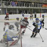 「アイスホッケーは日光の文化」　古河電工所長杯、25年ぶり復活　地元出…