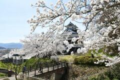 城跡の憩いの場彩る