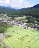 山里彩る ソバの花　鹿沼