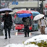 降雪の栃木県内　鉄道遅延、道路通行止め、ＮＨＫ視聴できない時間帯も