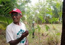 日系移民、森林農法アマゾン再生