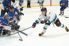 成年男子６年ぶり４強