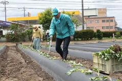 耕作放棄地解消を