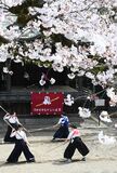 桜の下でなぎなた演武　宇都宮二荒山神社