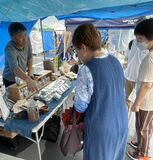 藍使用の紅茶と七味唐辛子、埼玉・深谷市でPR　矢板の農家松由さん　大河「青天を衝け」で栽培を監修