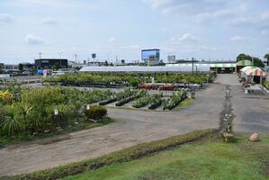 うつのみや緑花木センター 大田原 みのり が合併 展示場継続 新店舗併設へ 経済 下野新聞 Soon ニュース 下野新聞 Soon スーン