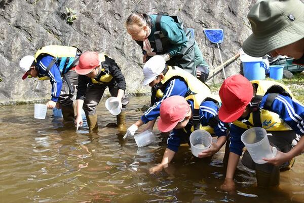 ニッコウイワナの稚魚を放流する児童ら