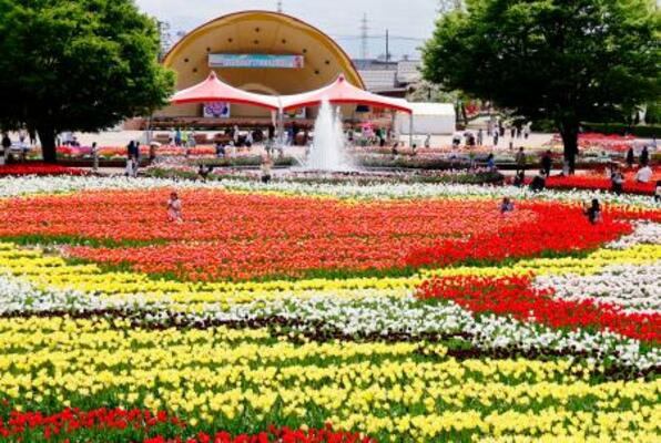 　色とりどりの花が咲く砺波チューリップ公園＝２８日午後、富山県砺波市
