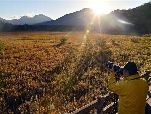 男体山から差し込む朝日に輝く草紅葉＝３日午前６時半、日光市中宮祠