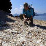 海の漂着ごみ半減　本当？　広島県の調査　住民「実感ない」　特定箇所を清…