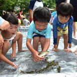 「つかまえた！」　下野の園児らアユつかみ取り　夢中で追いかけ輝く笑顔