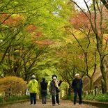 緑と赤のグラデーション　美しいロケーションに抱くエモーション　佐野・金…