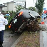 宇都宮で車が街路樹に衝突　助手席の女性が重体