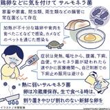 卵は割り置きなどせずに