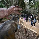 「まるでジュラシックパーク」　壬生・わんぱく公園に「大恐竜パーク」オープン　24体の動く模型が迫力満点