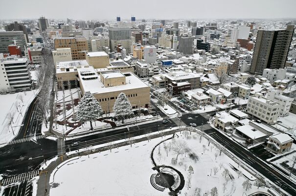 積雪し、真っ白に雪化粧した宇都宮市内＝８日午前10時10分、県庁15階展望ロビーから、河野光吉撮影