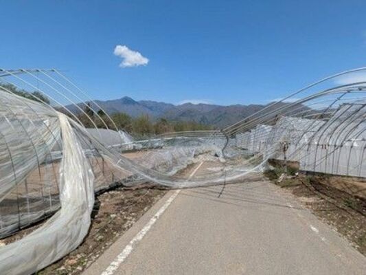 突風で被害を受けたホウレンソウを栽培するハウス＝那須塩原市（県提供）
