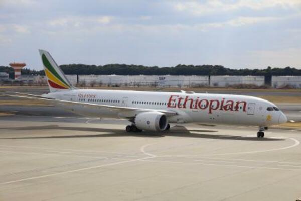 　日本政府が手配した国営エチオピア航空のチャーター機＝１１日、成田空港