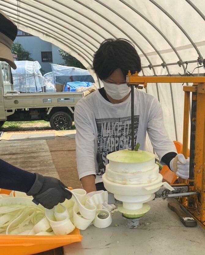 かんぴょうを薄くむく作業を体験。厚さをそろえる力加減が難しい