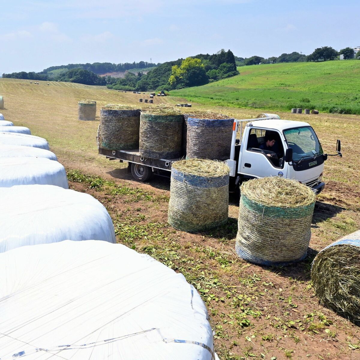 牧場に巨大なマシュマロ？ 牧草のロール作業進む 高根沢｜県内主要