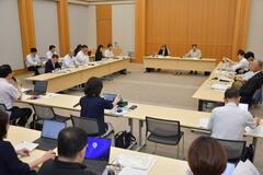 オンラインカジノ 県計画案に追加へ