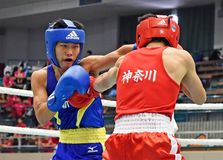 堀川（作新）判定で悲願達成　ボクシングＬフライ級・高校総体　サッカー・矢板中央は初戦で敗退