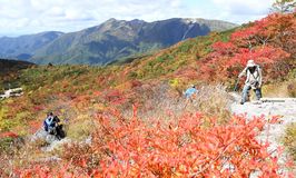 那須連山 紅葉見ごろ 那須