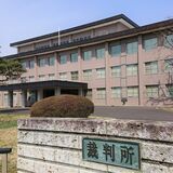 里親委託を中止した栃木県の判断「不合理と言えない」　養育していた夫妻の損害賠償請求…