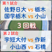 秋季栃木県高校野球大会３回戦　８強懸けて作新、佐野日大、国学栃木、石橋など登場　全…