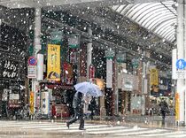 「寒の戻り」 栃木県内全域で降雪