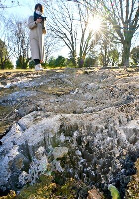 県中央公園の広場にできた霜柱＝23日午前９時５分、宇都宮市睦町