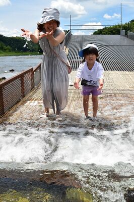 やなに入り水遊びを楽しむ子どもら