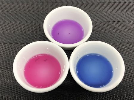 写真(1) 紫キャベツの水溶液で実験。元は紫色(真ん中)だが酢を加えると赤(左)、重曹を入れると青(右)に