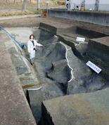 「卑弥呼の墓」に築造時渡り土堤