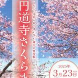 整備続け14年 初の桜祭り開催へ 花の新名所に“生まれ変わった”益子の…