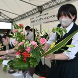 花のミニ甲子園で熱闘　高校生がサツキでアレンジメント　鹿沼市花木センタ…