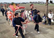 初午祭 飾り馬に無病息災願い 小山
