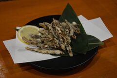 【グルメ探訪】カリッとスナック感覚　どじょうの唐揚げ　創作割烹 和(なごみ)（小山）