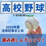 第108回全国高校野球選手権栃木大会の最新・注目記事まとめ《随時更新》
