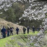 茂木で春の未成線「長倉線」歩くツアー　幻の鉄路、歴史をたどる