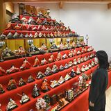 巨大ひな壇で圧倒...  ３年ぶり「氏家雛めぐり」　ＪＲ特別運行も