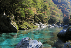 『高知県大川村　地域親子体験プログラム』夏休み特別ツアーの募集を開始！ 「大川村の歴史冒険ツアー」