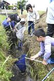 生き物たくさん水路で見つけた