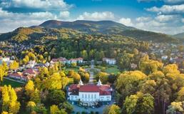 自然豊かなフルーツ大国