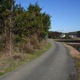 芳賀町が私有地の樹木41本を無断伐採　別の場所と勘違い、96万円賠償