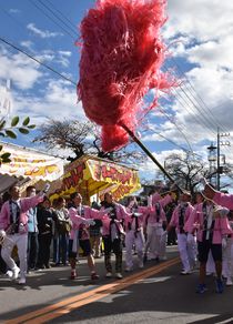宇都宮で勇壮に梵天祭り