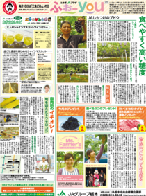 2020年6月18日(木)掲載面