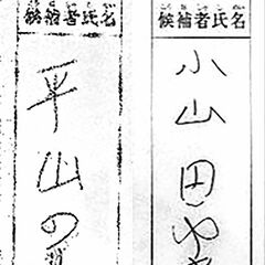 ２氏の氏名混在票、名字重視し有効に　栃木県選管「特段の事情」と判断　那須町長選再点検《裁決要旨も》